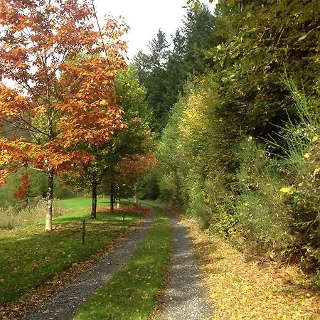 Le Vieux Moulin Bohan