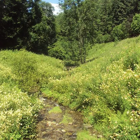 Le Vieux Moulin Bohan