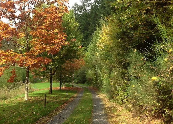 Le Vieux Moulin Bohan