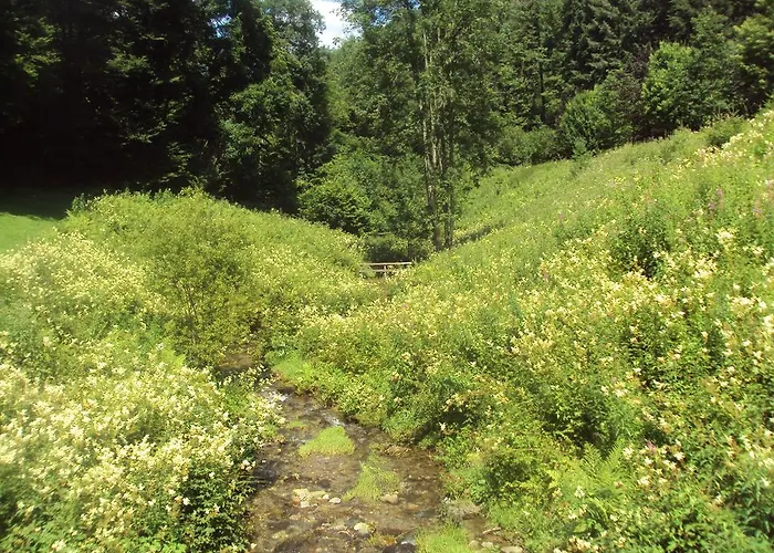 Le Vieux Moulin Bohan