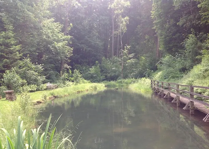Le Vieux Moulin Bohan
